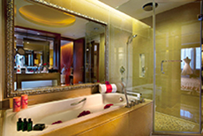 Sofitel Wanda Harbin-3