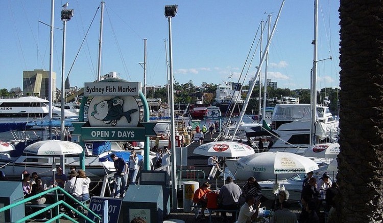 ตลาดปลา_Sydney _ประเทศออสเตรเลีย