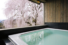 Takayama Kanko Hotel-3