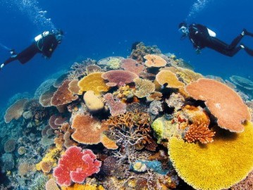 The Great Barrier Reef 02