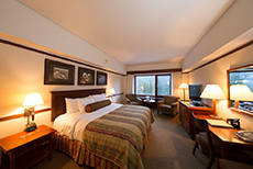 The Hotel Alyeska (1)