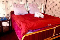 The Norling Camp - Pangong (1)
