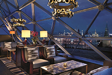 The Ritz Carlton Moscow-3