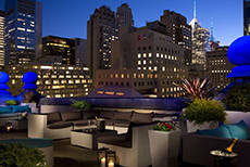 The Roosevelt Hotel-3