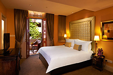 The Scarlet Singapore-1