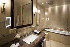 The Tokyo Station Hotel (2)