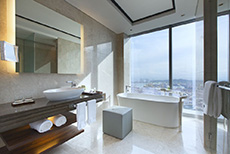 The Westin Singapore (2)