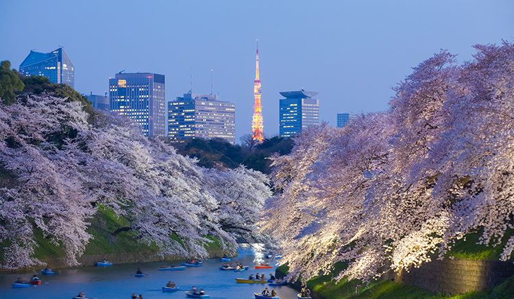 Tokyo-1