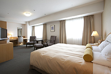 Toyama Excel Hotel Tokyo-1
