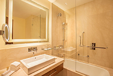 Trident Agra-2