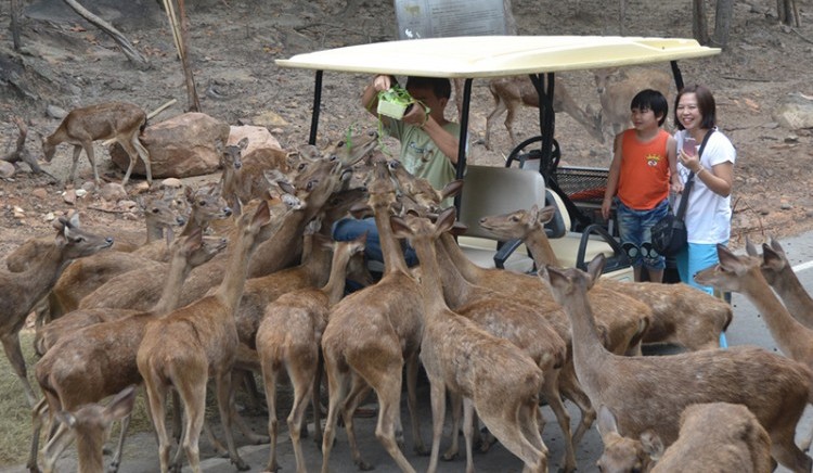 Khon_Kaen_Zoo
