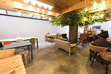 Twin Rabbit Guesthouse-3