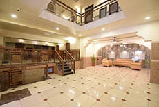 Virasat Mahal Heritage Hotel (2)