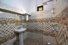 Virasat Mahal Heritage Hotel (3)