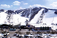 Vivaldi Park-3