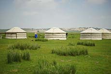 Xanadu yurts (3)