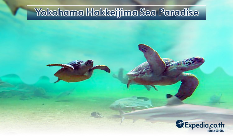 Yokohama Hakkeijima Sea Paradise