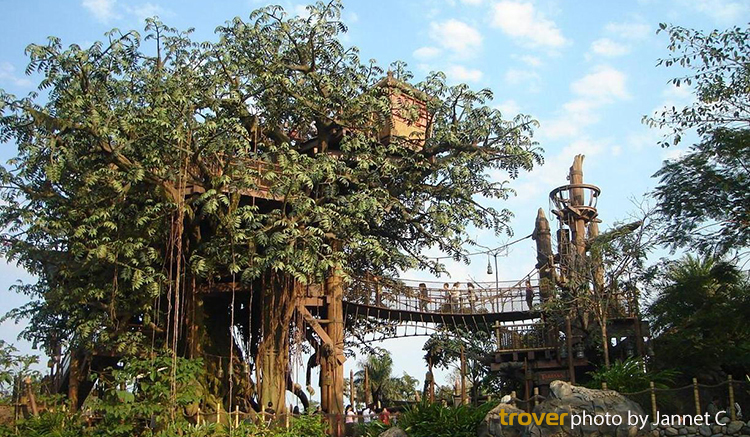 adventureland-1