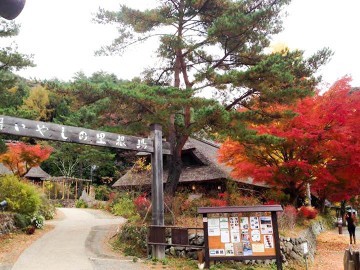 Saiko Iyashino-Sato Nenba