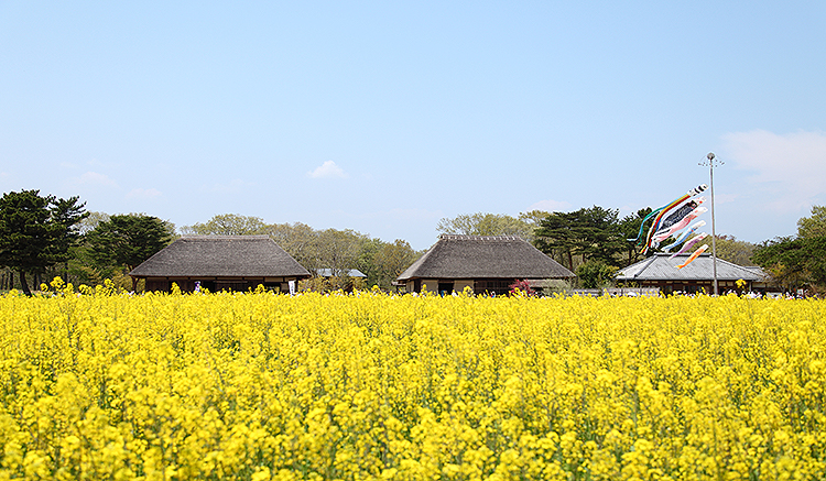 HiachiSeasidePark05