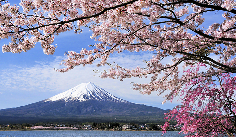 Mount Fuji