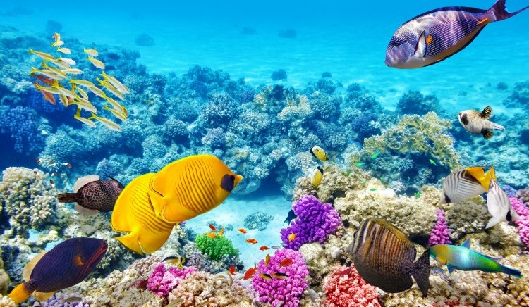 ประเทศสวยที่สุดในโลก