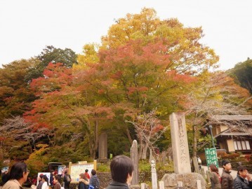 Mt. Takao