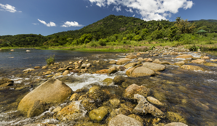 Brook and rocks in the mountains