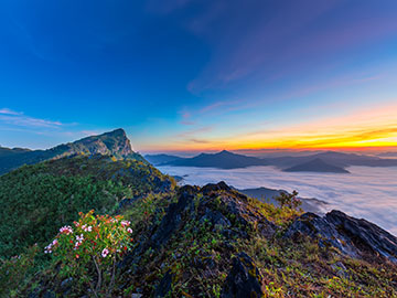 ดอยผาตั้ง-จ.เชียงราย-3.jpg