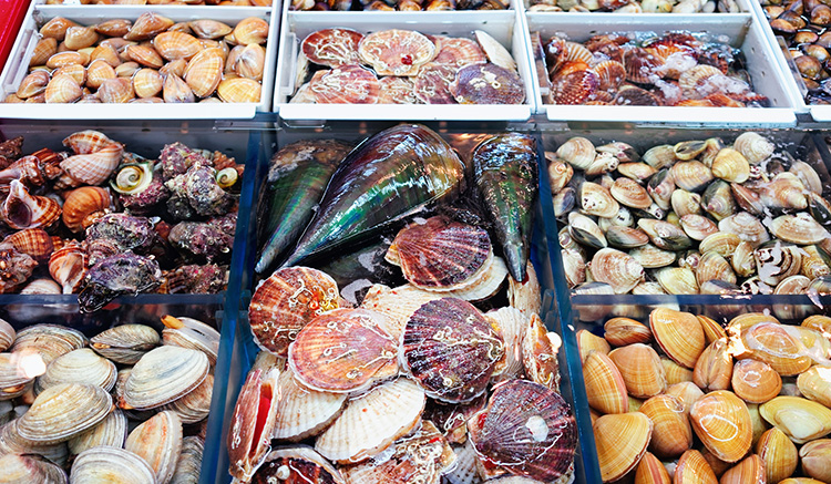 ตลาดปลาจากัลชี-1.jpg