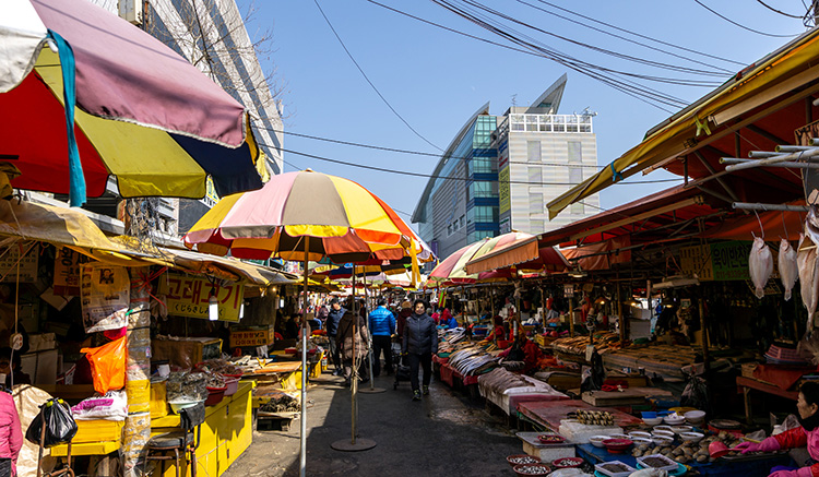 ตลาดปลาจากัลชี-2.jpg