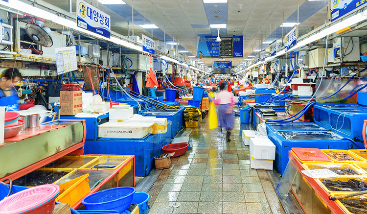 ตลาดปลาจากัลชี-3.jpg