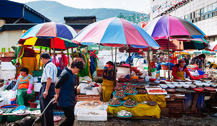 ตลาดปลาจากัลชี-9.jpg