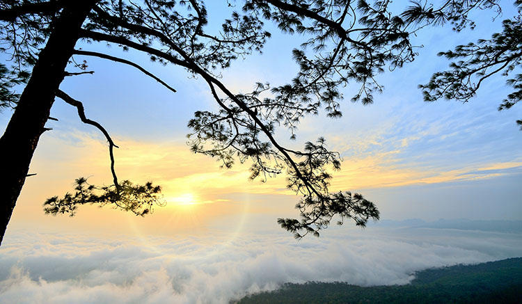 ภูกระดึง-จ.เลย-1.jpg