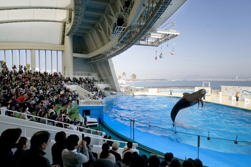 มารีนเวิร์ล อุมิโนนะคามิชิ (MarineWorld Uminonakamichi)