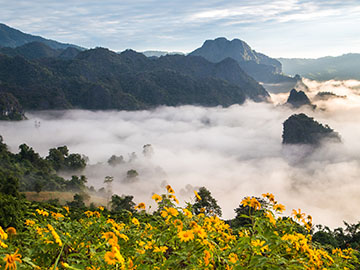 วนอุทยานภูลังกา-จ.พะเยา-3.jpg