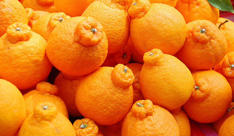 ส้มไซตรัส-1.jpg