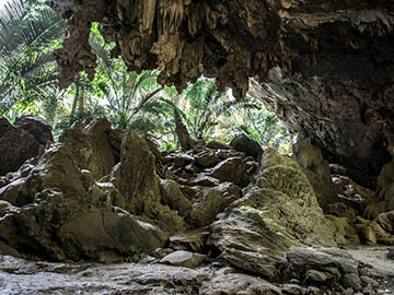 หุบป่าตาด-2.jpg