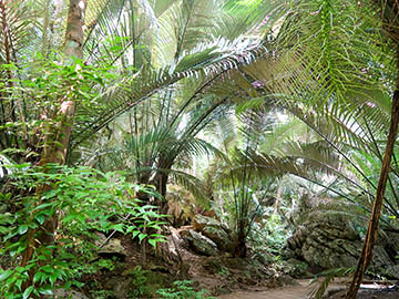 หุบป่าตาด-3.jpg
