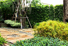 เดอะ ลอฟท์ รีสอร์ท-3