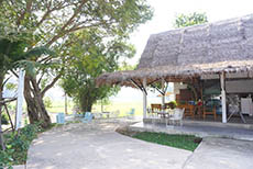 เดาะซัน (1)