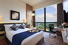โรงแรมพาร์ค อเล็กซานดรา (2)