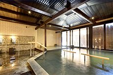 โรงแรมฮาโกเนะ โคเกน-2